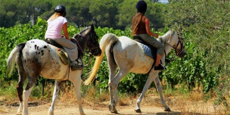 The team at Château Borie Neuve in Badens organises horseback riding in the garrigue