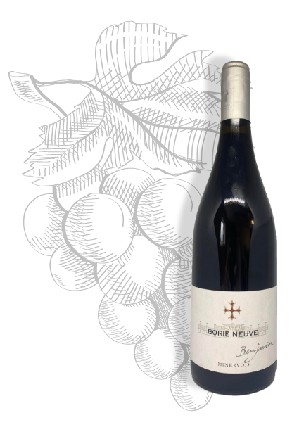 Cuvée Benjamin, DOP Minervois Vino tinto de Château Borie Neuve en Badens. Variedades de uva Syrah, Garnacha