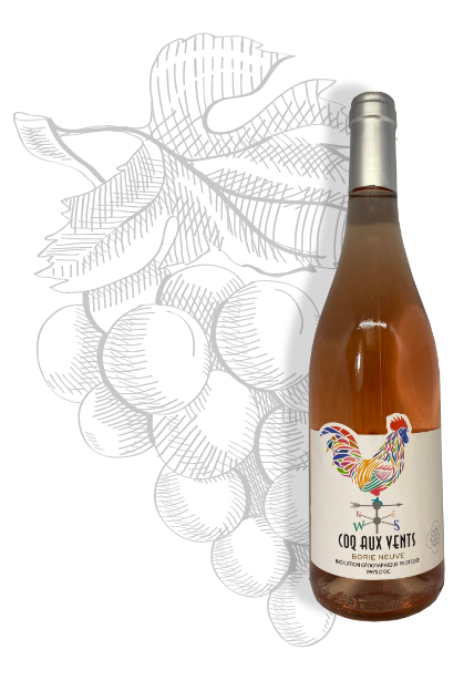 Coq aux Vents rosé du Château Borie Neuve dans l'Aude. Cépage Cinsault