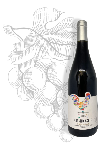 Coq aux Vents rouge, Pays d’Oc wine of Château Borie Neuve in Aude. Grapes varieties Syrah, Carignan et Cinsault