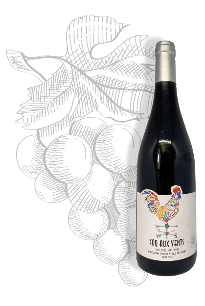 Coq aux Vents tinto, vino IGP Pays d'Oc de Château Borie Neuve en el Aude. Variedades de uva Syrah, Carignan y Cinsault