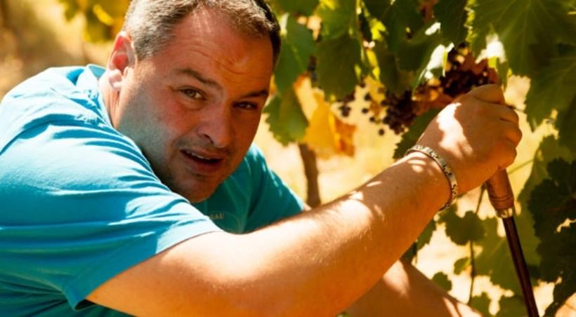 Château Borie Neuve trabaja con numerosas variedades de uva como Cinsault, Garnacha (blanca, negra), Syrah, Caladoc