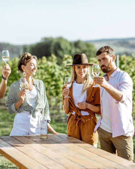 Activités œnotouristiques proposées au Château Borie Neuve à Badens